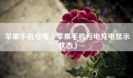 苹果手机亏电（苹果手机亏电充电显示状态）