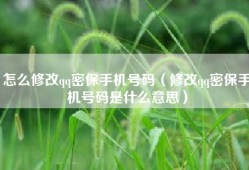 怎么修改qq密保手机号码（修改qq密保手机号码是什么意思）
