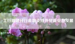 工行福建分行金融支持外贸新业态发展