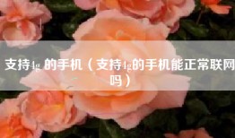 支持4g 的手机（支持4g的手机能正常联网吗）