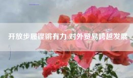 开放步履铿锵有力 对外贸易跨越发展