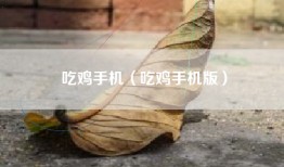 吃鸡手机（吃鸡手机版）