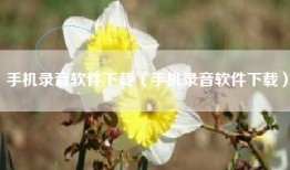 手机录音软件下载（手机录音软件下载）