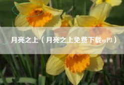 月亮之上（月亮之上免费下载mP3）