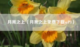 月亮之上（月亮之上免费下载mP3）