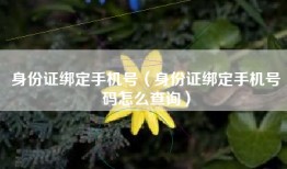 身份证绑定手机号（身份证绑定手机号码怎么查询）