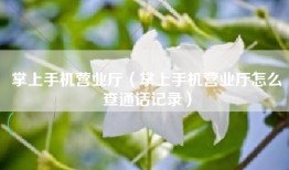 掌上手机营业厅（掌上手机营业厅怎么查通话记录）