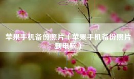 苹果手机备份照片（苹果手机备份照片到电脑）