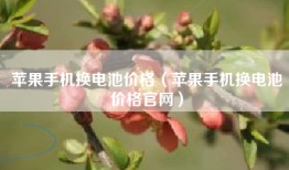 苹果手机换电池价格（苹果手机换电池价格官网）