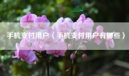 手机支付用户（手机支付用户有哪些）