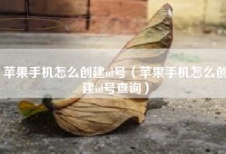 苹果手机怎么创建id号（苹果手机怎么创建id号查询）