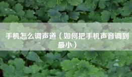 手机怎么调声道（如何把手机声音调到最小）