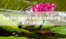 苹果手机没有（苹果手机没有提示音了是什么原因呢）