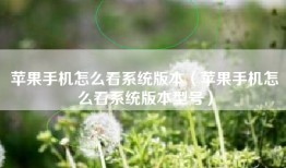苹果手机怎么看系统版本（苹果手机怎么看系统版本型号）