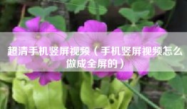 超清手机竖屏视频（手机竖屏视频怎么做成全屏的）