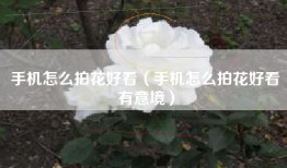 手机怎么拍花好看（手机怎么拍花好看有意境）