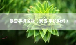 暴雪手机游戏（暴雪 手机游戏）