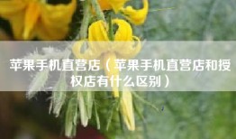 苹果手机直营店（苹果手机直营店和授权店有什么区别）