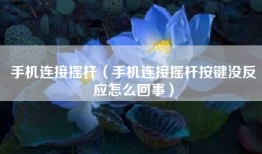 手机连接摇杆（手机连接摇杆按键没反应怎么回事）