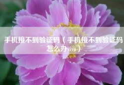 手机接不到验证码（手机接不到验证码怎么办vivo）