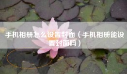 手机相册怎么设置封面（手机相册能设置封面吗）