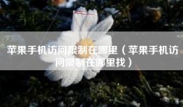 苹果手机访问限制在哪里（苹果手机访问限制在哪里找）