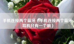 手机连接两个蓝牙（手机连接两个蓝牙耳机只有一个响）