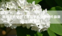 黑暗手机壁纸（黑暗手机壁纸图片最新款2024版高清）