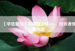 【华信智投】科技股大跌50%，投资者忧虑加剧