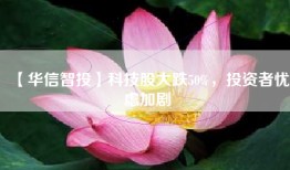 【华信智投】科技股大跌50%，投资者忧虑加剧