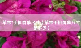 苹果7手机屏幕尺寸（苹果手机屏幕尺寸是多少）