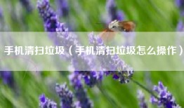 手机清扫垃圾（手机清扫垃圾怎么操作）