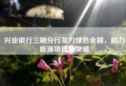 兴业银行三明分行发力绿色金融，助力能源项目新突破