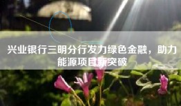 兴业银行三明分行发力绿色金融，助力能源项目新突破