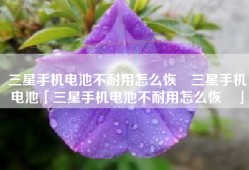 三星手机电池不耐用怎么恢復三星手机电池「三星手机电池不耐用怎么恢復」