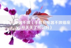手机充电器不拔（手机充电器不拔插座开关关了可以吗）