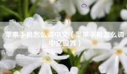 苹果手机怎么调中文（苹果手机怎么调中文设置）