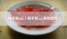 锁手机app（锁手机app有危险吗）