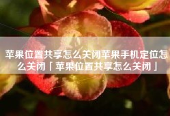 苹果位置共享怎么关闭苹果手机定位怎么关闭「苹果位置共享怎么关闭」