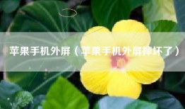 苹果手机外屏（苹果手机外屏摔坏了）