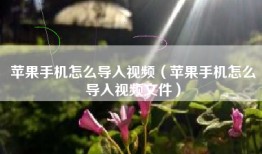 苹果手机怎么导入视频（苹果手机怎么导入视频文件）