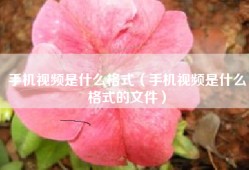 手机视频是什么格式（手机视频是什么格式的文件）