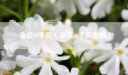 金立s6手机（金立s6手机参数）