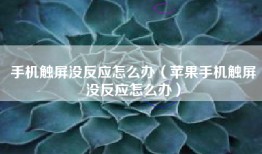 手机触屏没反应怎么办（苹果手机触屏没反应怎么办）