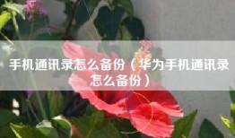 手机通讯录怎么备份（华为手机通讯录怎么备份）
