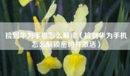 捡到华为手机怎么解锁（捡到华为手机怎么解锁密码并激活）