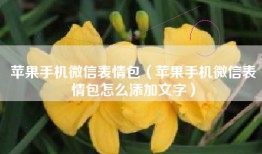 苹果手机微信表情包（苹果手机微信表情包怎么添加文字）
