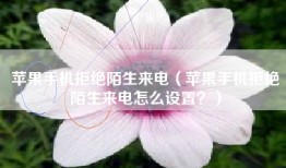 苹果手机拒绝陌生来电（苹果手机拒绝陌生来电怎么设置？）