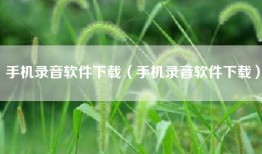 手机录音软件下载（手机录音软件下载）