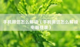 手机微信怎么解锁（手机微信怎么解锁电脑登录）